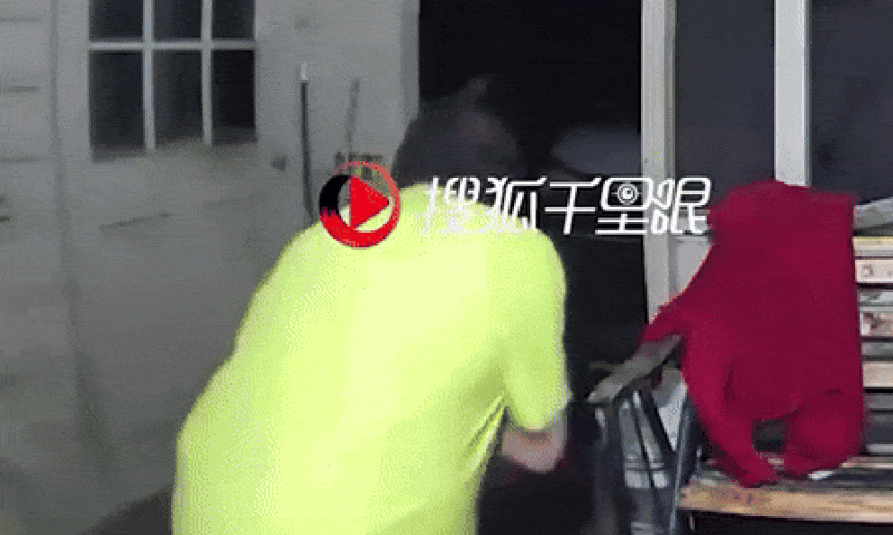 Gấu dữ đột nhập nhà dân để “săn người”: Hiện trường vụ việc ám ảnh và hỗn loạn