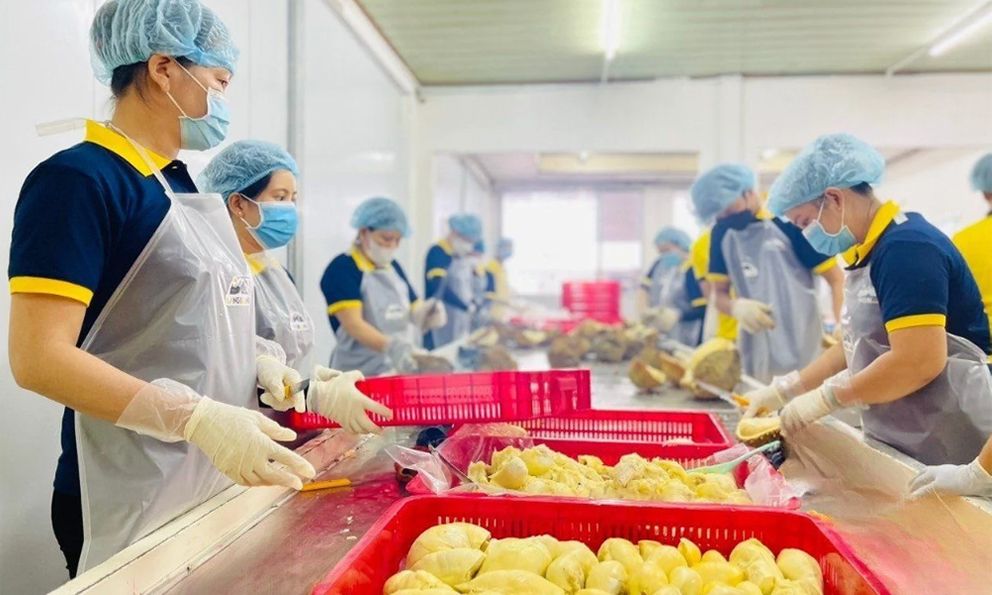 Loại quả mang về 3,2 tỷ USD cho Việt Nam năm 2024, người Trung Quốc mê mẩn: Vô số lợi ích