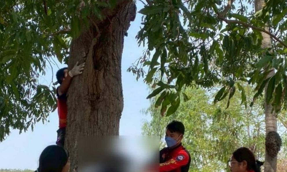 Con trai nói là lên đường đi lao động ở nước ngoài, vài ngày sau mẹ nhận tin dữ từ họ hàng