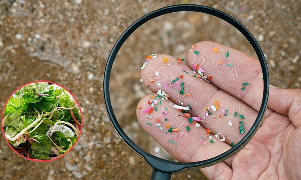 Loại rau là 'biểu tượng của ăn uống sạch và lành mạnh' nhưng nguy cơ cao nhiễm vi nhựa: Cần làm gì?