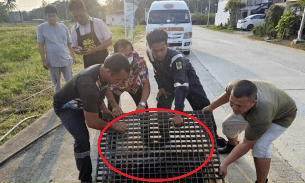 Nghe thấy tiếng kêu dưới cống thoát nước, người dân chạy đến nơi chứng kiến cảnh tượng không ngờ