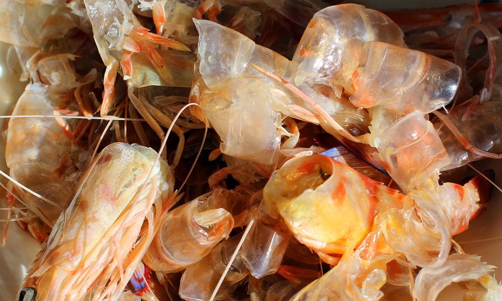 Việt Nam sản xuất tôm tốp 5 thế giới, nhưng thứ bị bỏ đi mới là 