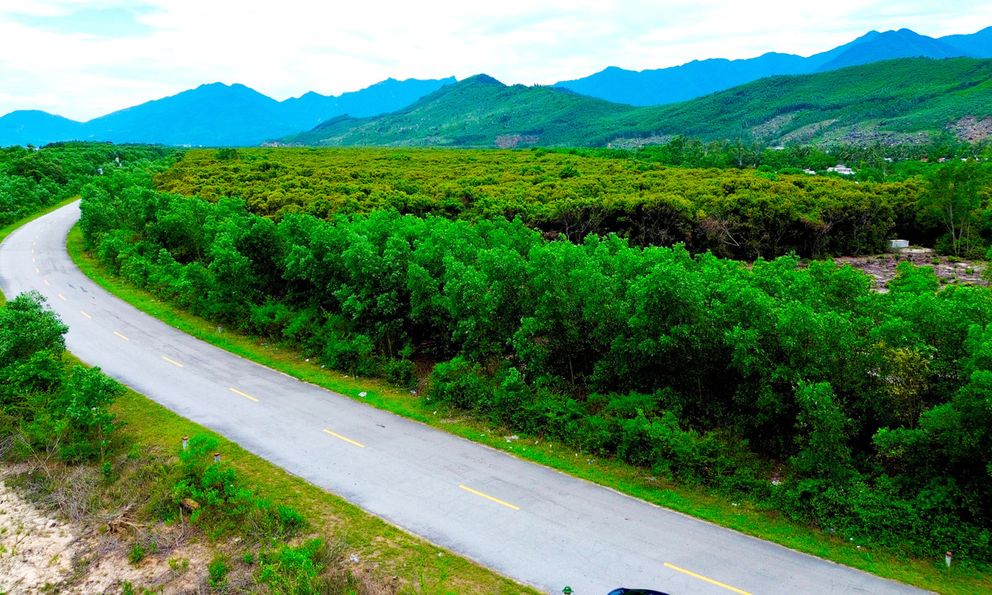 Khu rừng trăm năm tuổi ở Huế: “Báu vật tổ tiên” được ghi trong hương ước làng từ thời vua Minh Mạng
