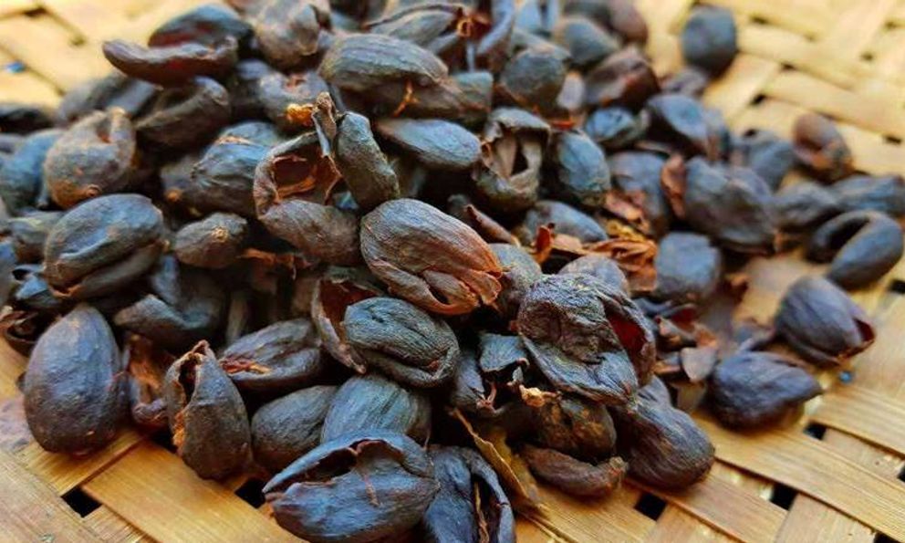 Loại vỏ quả người Việt từng vứt bỏ nay được săn lùng: Chế biến thành 