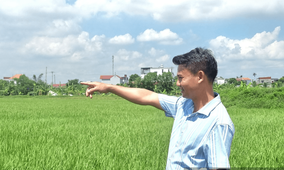 Nông dân Việt thu 12 tỷ đồng/năm từ ruộng hoang, mong mở rộng vùng trồng lúa tại Cuba