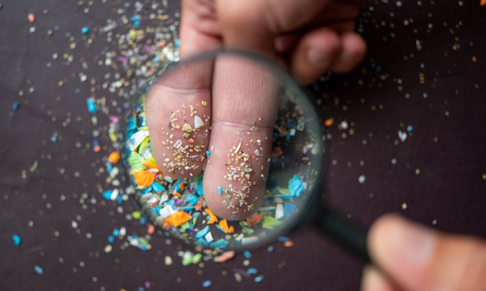 Thực phẩm ‘ngậm’ nhiều vi nhựa có mặt thường xuyên trên mâm cơm người Việt