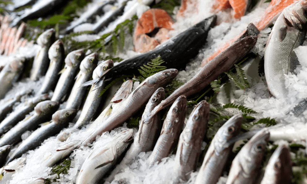 Mẹo chọn cá tươi và cách nhận biết cá nhiễm độc: Ai đi chợ cũng nên biết