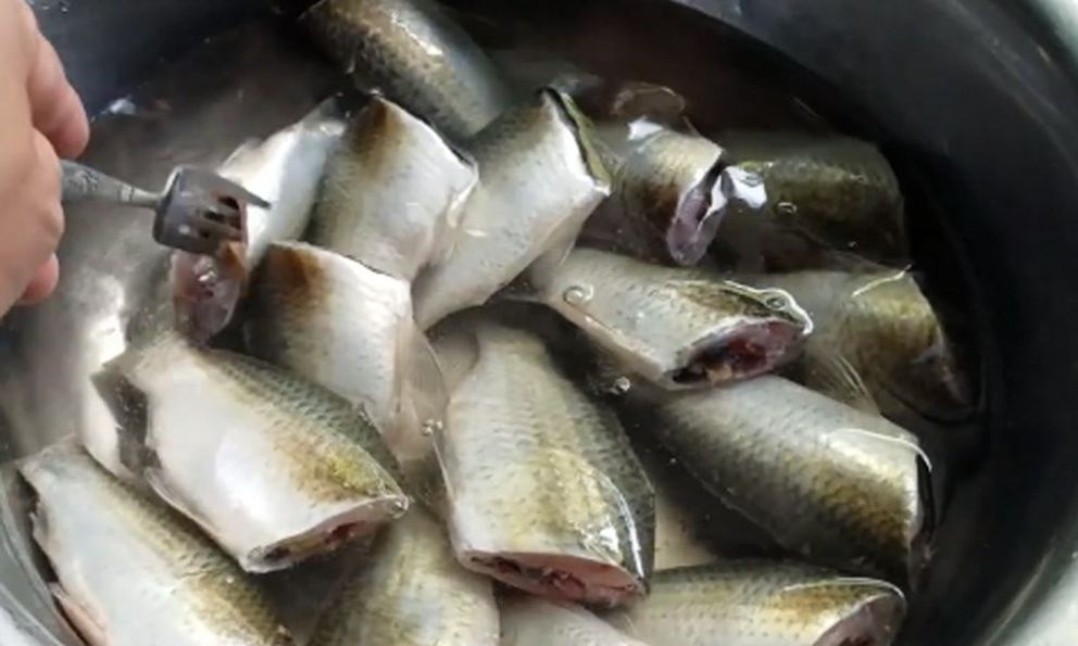 Ăn cá theo cách này, nhiều người bị tổn thương gan: Bác sĩ cảnh báo