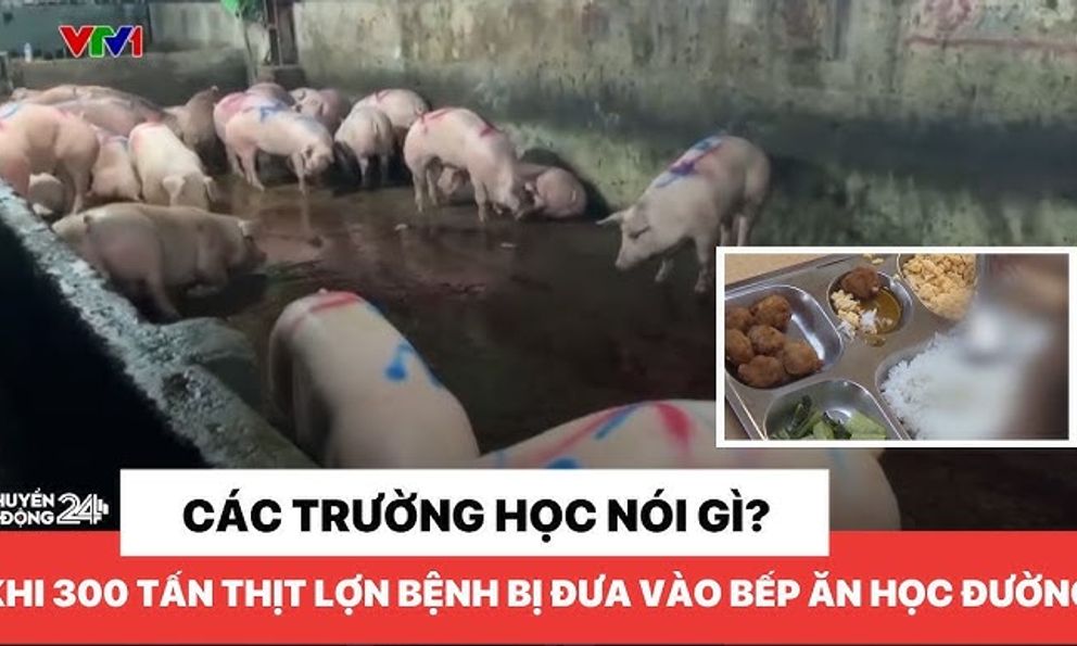 Nguy cơ kép từ 300 tấn thịt lợn bệnh - trẻ em chịu ảnh hưởng nặng nề nhất!