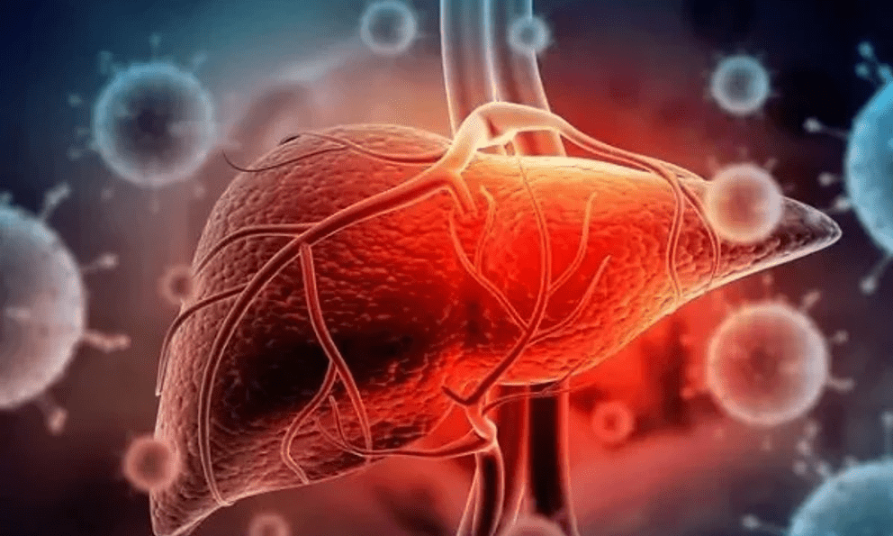 Thói quen biến “thuốc bổ” thành “chất độc” với lá gan của nhiều người Việt: Bác sĩ cảnh báo khẩn 