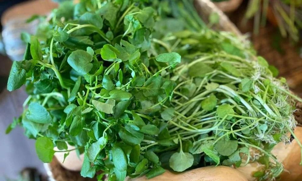 Việt Nam có 3 loại rau 