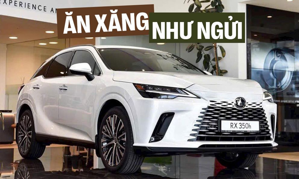 Lexus RX hybrid 2025 giá dự kiến từ 3,5 tỷ đồng tại Việt Nam, dễ bán tháng sau, cạnh tranh X5, Q7 bằng động cơ tiết kiệm như Vios