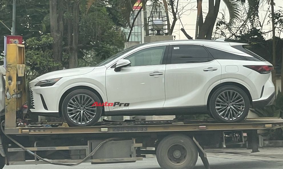 Lexus RX 350h 2025 đã về Việt Nam: Tinh ý mới thấy điểm khác bản xăng, dễ thêm công nghệ, máy tiết kiệm xăng cạnh tranh X5, Q7