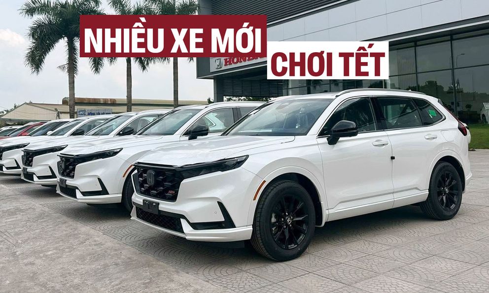 Nhiều xe mới dễ đổ bộ Việt Nam trước Tết: Đa dạng sedan, MPV, SUV, bán tải, có cả lắp và nhập, chủ yếu trên dưới 1 tỷ đồng