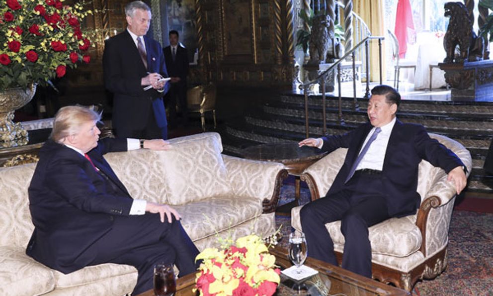  NYT hé lộ nghệ thuật 