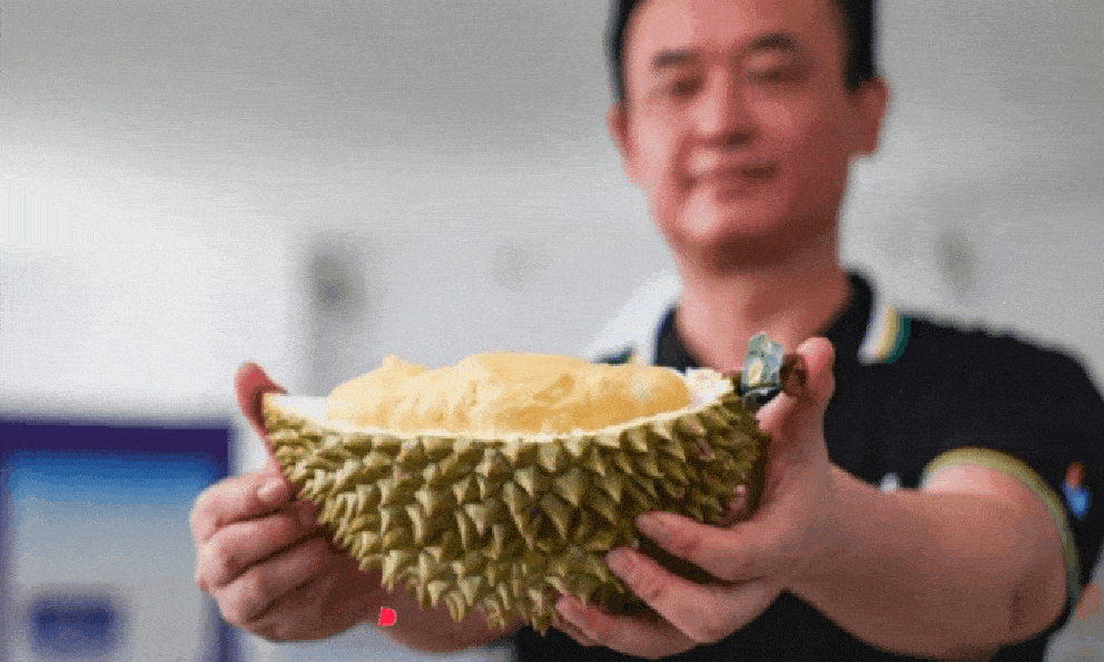 'Vua các loại trái cây' Việt Nam trỗi dậy ở Trung Quốc: Sẽ 'soán ngôi' Thái Lan sau ba năm?