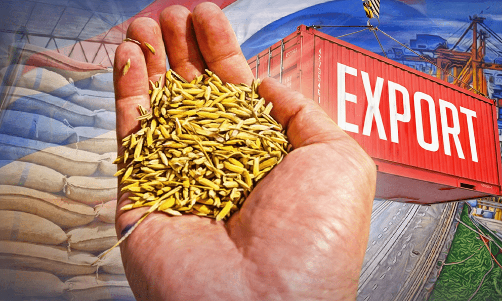 Xuất khẩu gạo Thái Lan lo 'chạm đáy' 5 năm: Vì một chỉ số cao nhất thế giới, gấp rưỡi Việt Nam, Campuchia