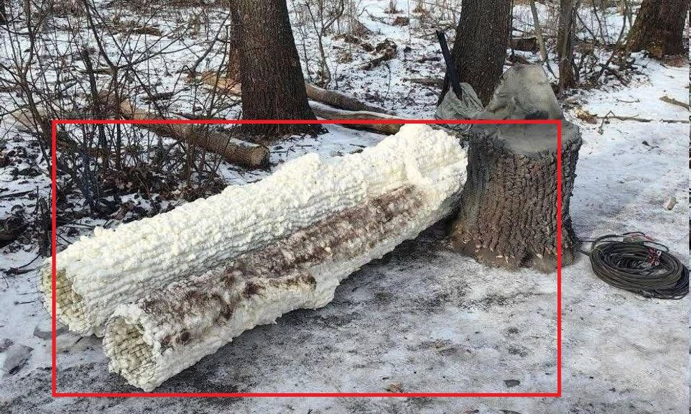 Nga bất ngờ dựng loạt cây giả giữa tiền tuyến để lừa Ukraine: Bên trong thân cây là bí mật gì?