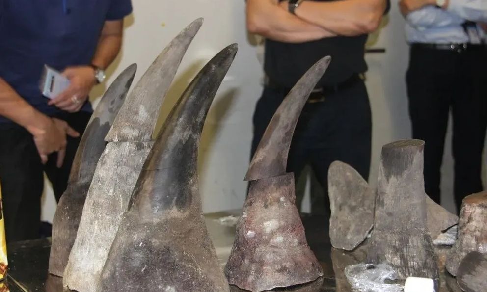 Bộ Ngoại giao trả lời thông tin vụ Nam Phi bắt ông Chu Đăng Khoa