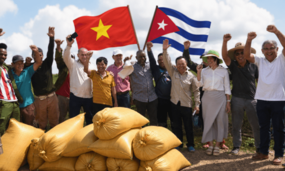 Cuba mở cánh cửa chưa từng có sau Cách mạng, Việt Nam lập tức xuất hiện: Dự án thứ hai bắt đầu 'hái quả'