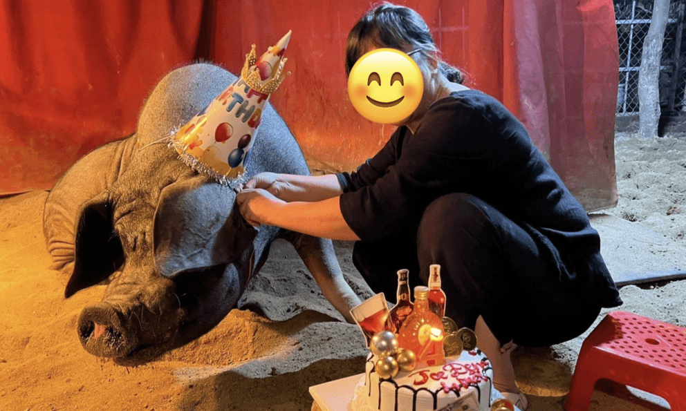 Sao Việt nuôi lợn ở biệt thự 1400 m² giữa phố cổ, nói 1 câu về chuyện để lại tài sản cho con quá bất ngờ