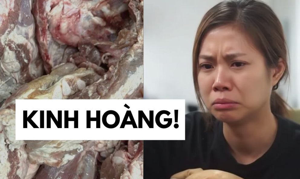 Đọc bài “Sự thật phía sau những suất cơm học đường”, tôi rùng mình: Hoá ra người ta cũng có thể ác với trẻ con!