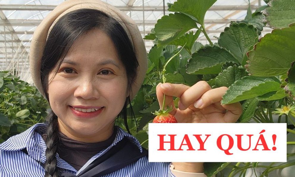 Bà mẹ Hà Nội chỉ cách nuôi dạy con thành CÔNG DÂN TOÀN CẦU: Từ mầm non đến đại học, cực kì chi tiết