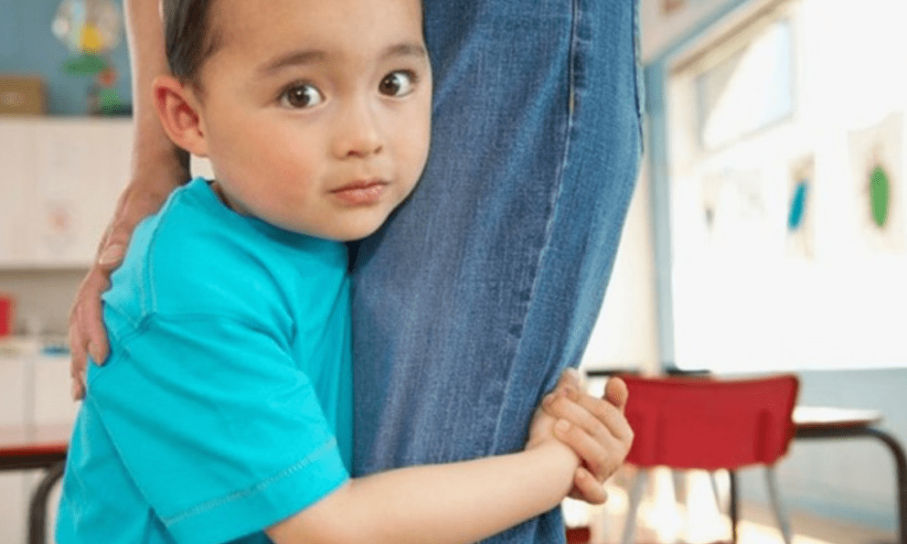 3 biểu hiện cho thấy con bạn đang có 1 cuộc sống cực kỳ hạnh phúc, cha mẹ nuôi dạy đúng hướng!