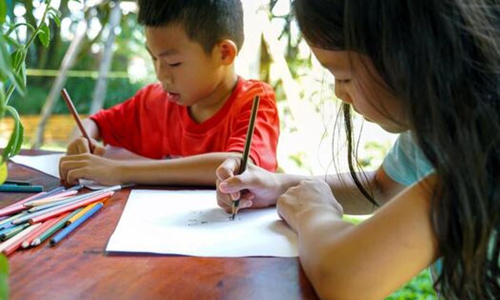 Nghiên cứu mới nhất từ ĐH Harvard: Đây là việc nhỏ nhưng mang lại hiệu suất đầu tư cuộc đời cao nhất cho con bạn!