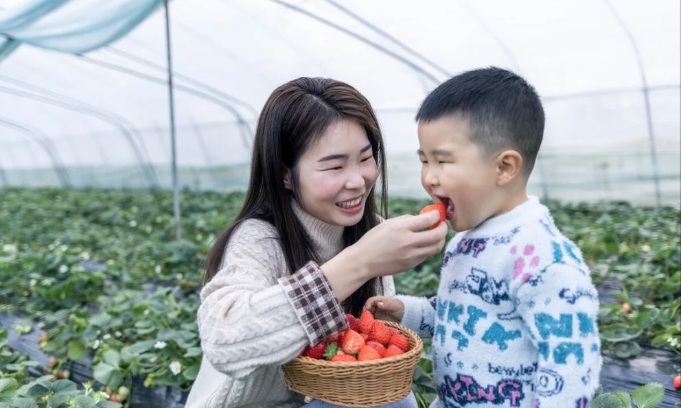 “Con trai giống mẹ” hóa ra có cơ sở: 4 đặc điểm ở bé trai dễ thừa hưởng từ mẹ, xem con nhà bạn có không?