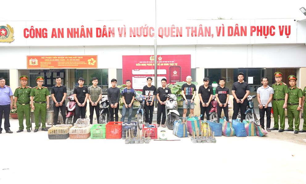 TP.HCM: Khởi tố 12 người trong đường dây trộm khoảng 2.700 con mèo
