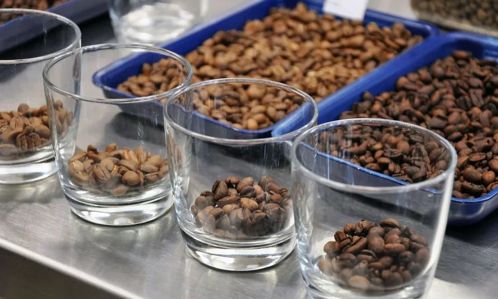 Cà phê decaf có thực sự tốt hơn cà phê thường? Chuyên gia đưa ra câu trả lời