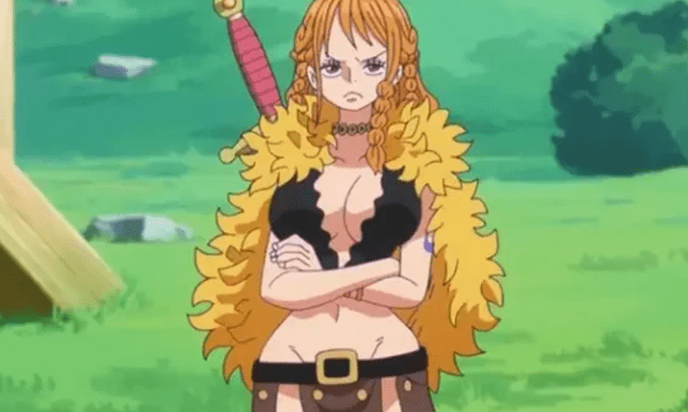 Fan mua figure Nami để kiểm chứng lời Oda, kết quả khiến cộng đồng One Piece cười nghiêng ngả