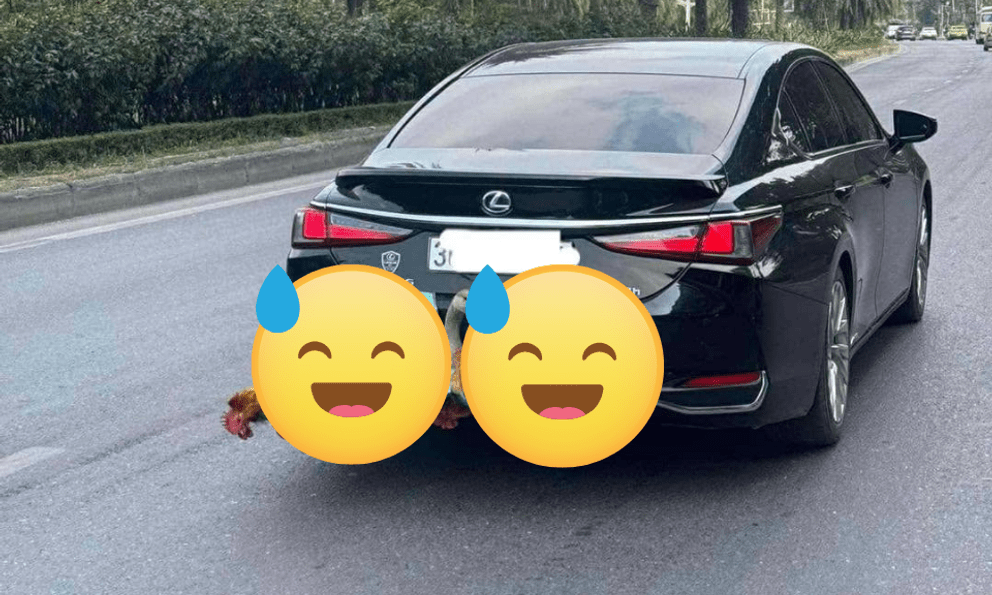 Bức ảnh chụp phía sau Lexus bạc tỷ ở Hà Nội khiến nhiều người bật cười, còn tôi lại nghẹn ngào rưng rưng