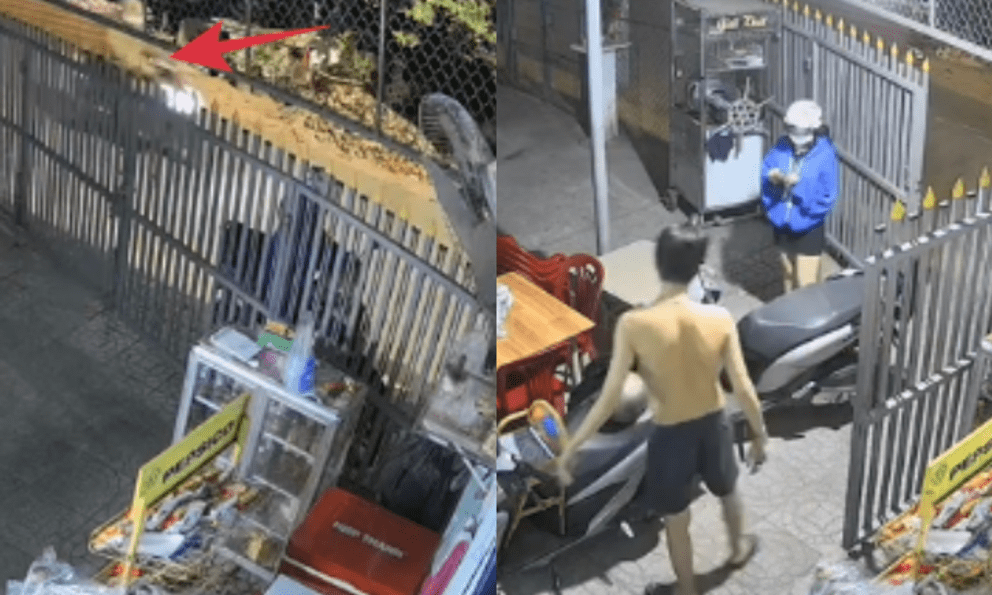 Bị thanh niên bám theo khi đi một mình giữa đêm, cô gái nhanh trí nói lớn 6 từ khiến đối tượng phóng xe bỏ chạy