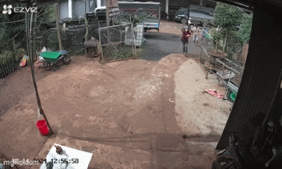 Hãi hùng đoạn clip 3 học sinh Đắk Lắk mặt bê bết máu, gào khóc chạy đi tìm người giúp đỡ