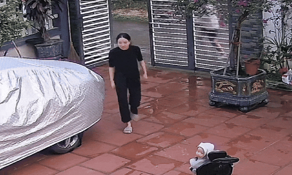 Chồng trẻ Hà Nội làm điều bất thường trong sân nhà, ai ngờ khiến cả gia đình bỗng dưng nổi tiếng