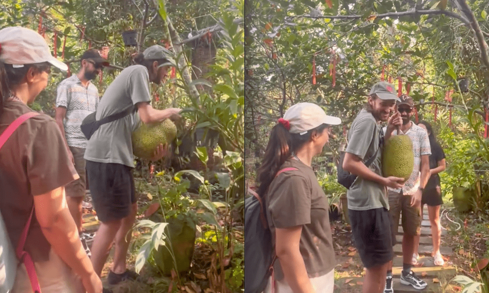 Khách Tây lóng ngóng khi thử hái mít tại Việt Nam, phản ứng sau khi hái được khiến dân tình bật cười