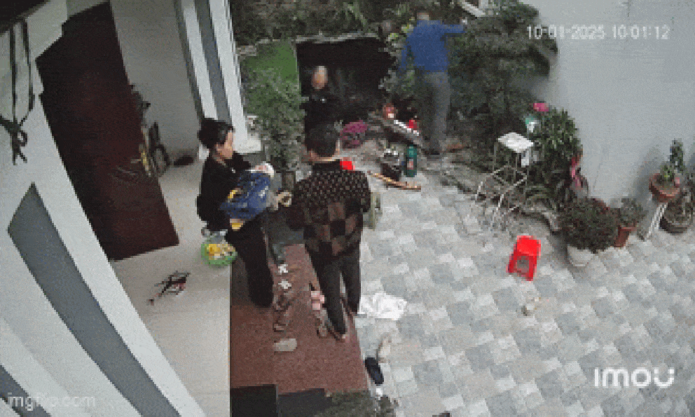 Cắt tỉa cây cảnh đón Tết, người đàn ông không may gặp sự cố khiến tất cả rùng mình... vì lạnh
