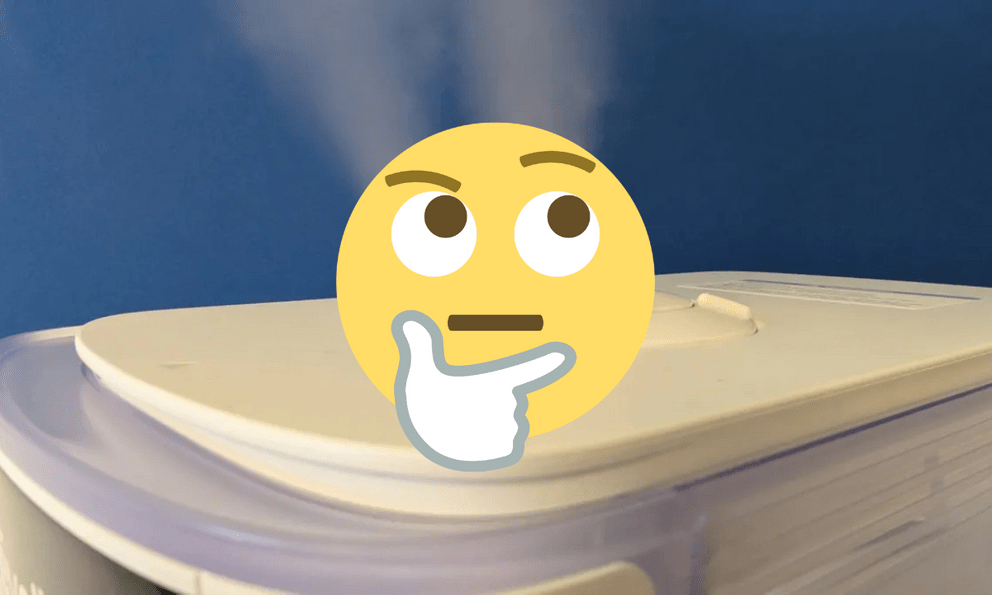 Hóa ra đây mới là cách giữ ấm mùa đông 