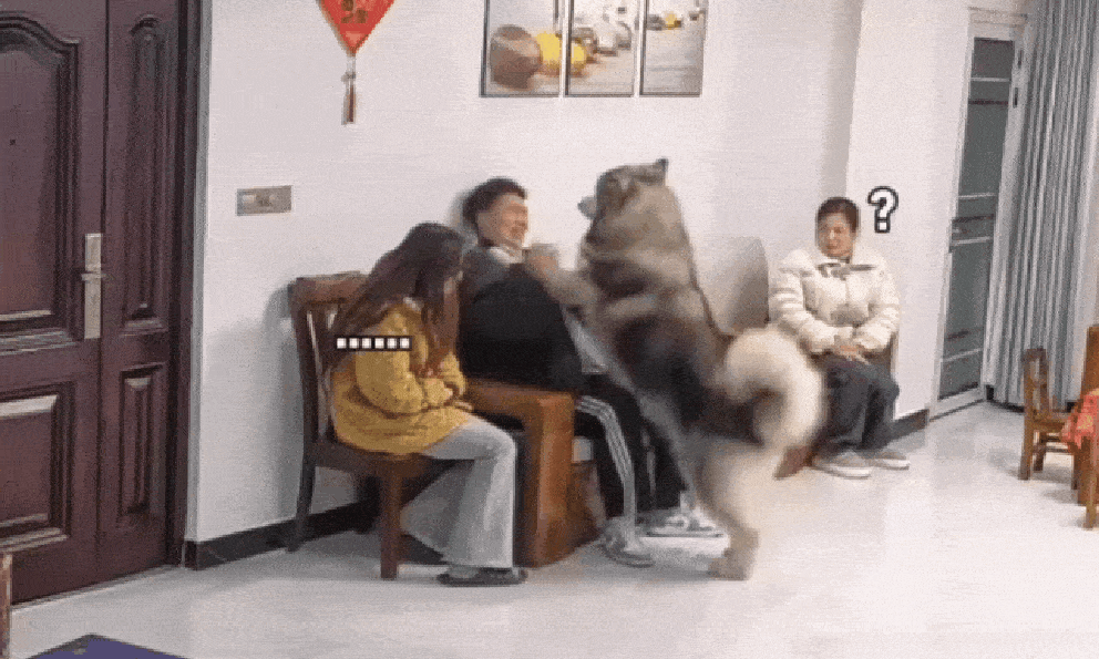 Màn ra mắt nhà bạn gái khiến 1 người rơi lệ, 5 triệu người ngồi cười