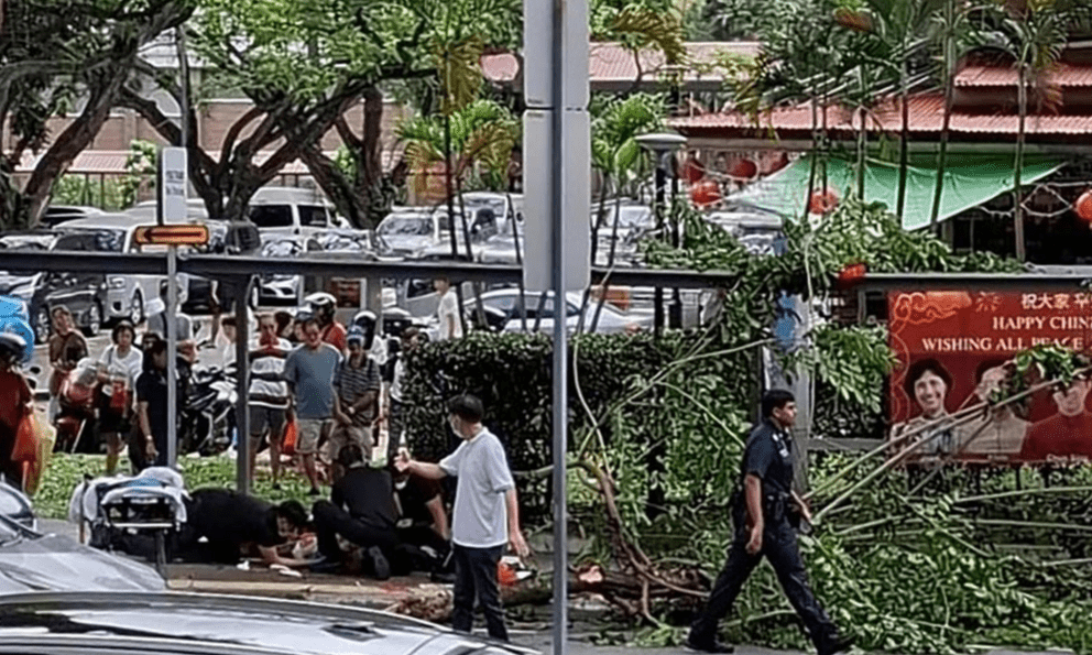 Cành cây lớn rơi trúng khiến người phụ nữ nhập viện, bên cạnh hiện trường vẫn là đồ trang trí Tết