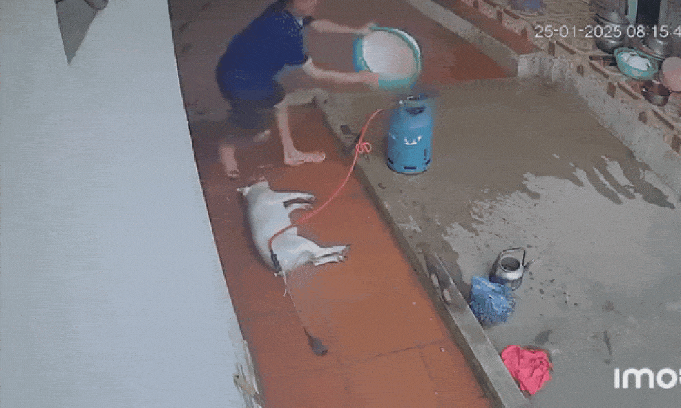 “Anh ơi, chạy đi còn kịp” - tiếng la thất thanh cùng pha dập lửa bình gas bốc cháy ngùn ngụt khiến ai cũng tái mặt