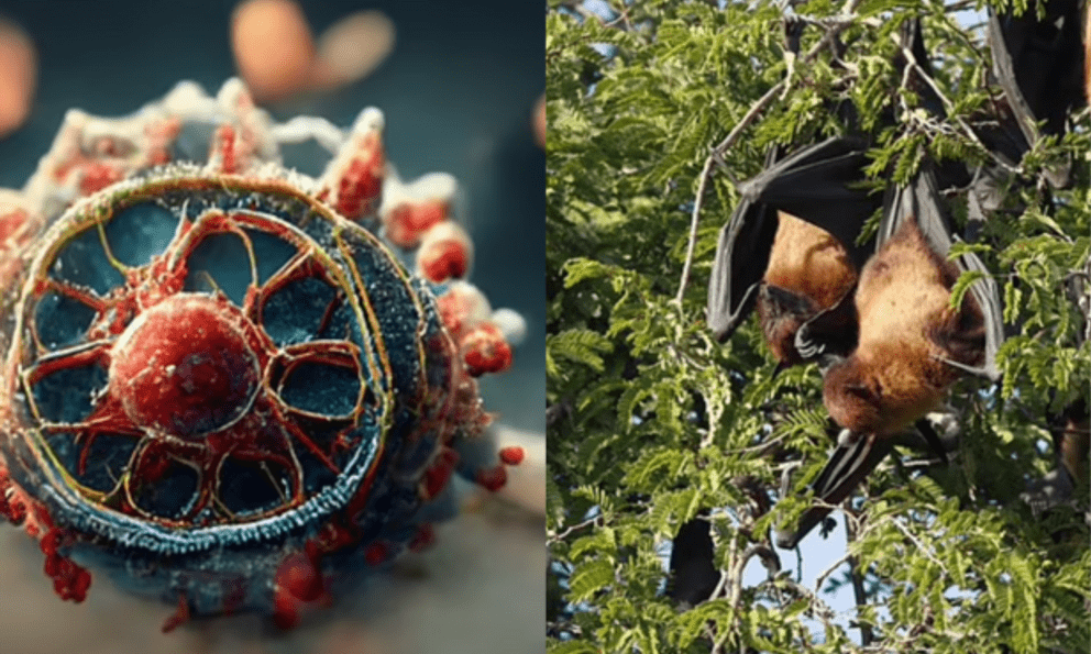 Mỹ: Phát hiện virus mới nguy hiểm, dấy lên nhiều lo ngại