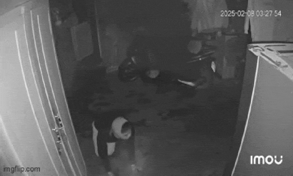 Vị khách lạ lồm cồm bò vào nhà lúc 3h sáng, cảnh tượng trong camera khiến nhiều người lạnh sống lưng