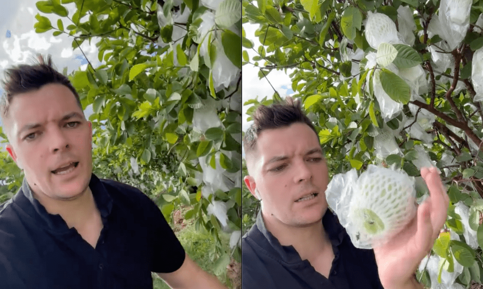 Khách Tây giới thiệu 1 loại quả 