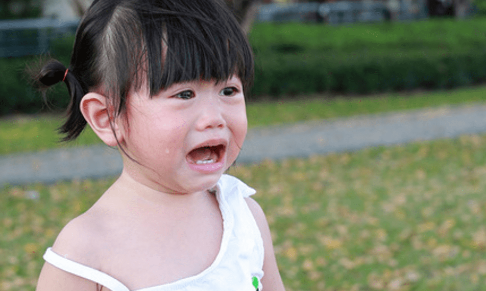 Bé gái mầm non đi học về nói: 