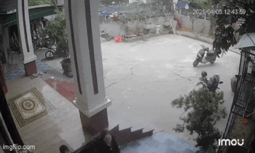 Thấy bé trai 3 tuổi hớt hải chạy về kêu cứu, liên tục chỉ ra vườn, người lớn đi theo chứng kiến cảnh tượng bất ngờ