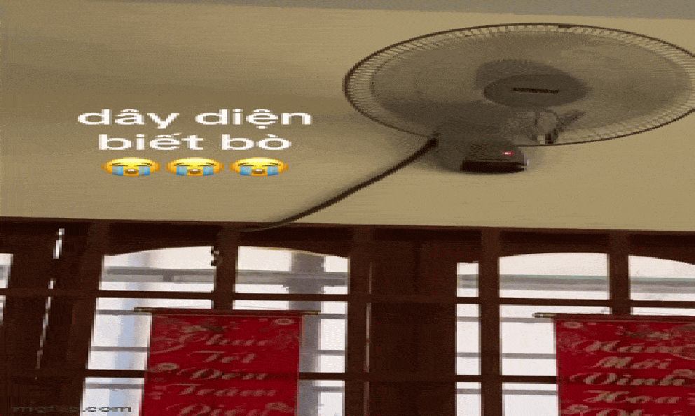 Phóng to clip, nhiều người bủn rủn chân tay khi chứng kiến 