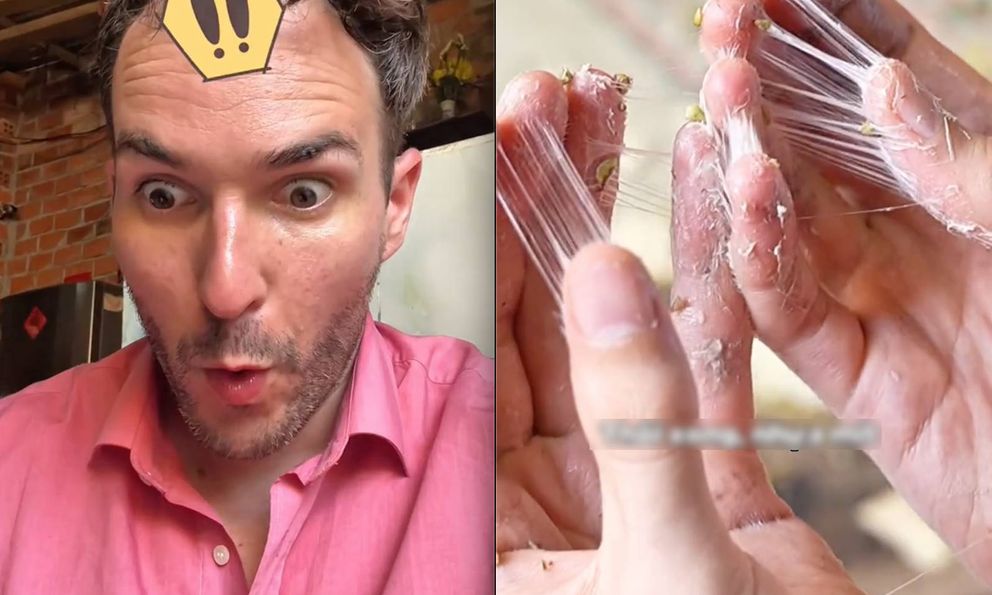 Khách Tây học kỹ năng nấu nướng để cưới vợ Việt liền gặp ngay sự cố đáng sợ, cư dân mạng kêu gọi 